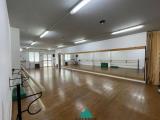 Superfici commerciali, PALESTRINA, 210.000 €, 160,00 mq