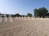 Particella, CONTRADA, 60.000 €, 10500,00 mq