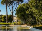 Appartamento, BOSIO, 1.950.000 €, 250,00 mq
