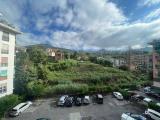 Appartamento, RAPALLO, 105.000 €, 40,00 mq