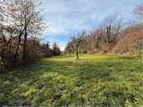 Particella, FORNACE, 704.000 €, 6396,00 mq