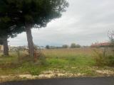 Particella, CEPAGATTI, 48.000 €, 2060,00 mq