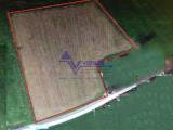 Particella, VITTORIA, 600.000 €, 26000,00 mq
