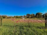 Particella, FIORANO MODENESE, 800.000 €, 4345,00 mq