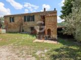 Particella, MONTALCINO, 550.000 €, 446,00 mq