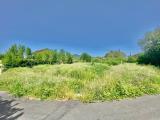 Particella, AVELLINO, Centro, 35.000 €, 364,00 mq