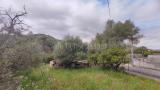 Particella, LOIRI PORTO SAN PAOLO, 60.000 €, 650,00 mq