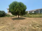 Particella, MESSINA, Faro Superiore, 20.000 €, 820,00 mq