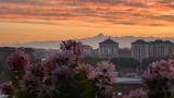 Appartamento, TORINO, Madonna di Campagna, 195.000 €, 70,00 mq
