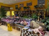 Superfici commerciali, SAN GIULIANO MILANESE, 90.000 €, 70,00 mq